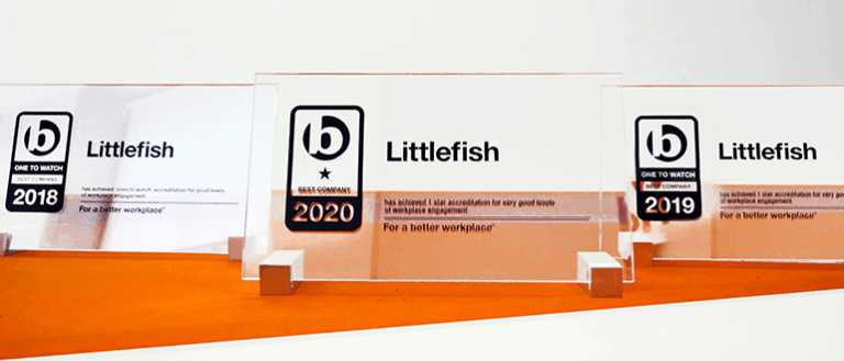 Littlefish Best Companies Announcement 2020 Website