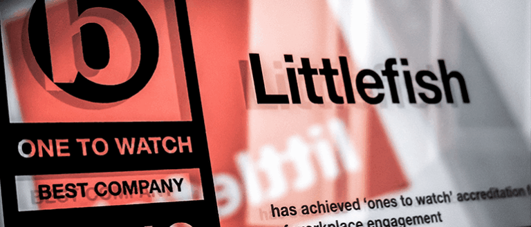 Littlefish Awards Best Company One To Watch Sunday Times 09 05 2019 Website Blog