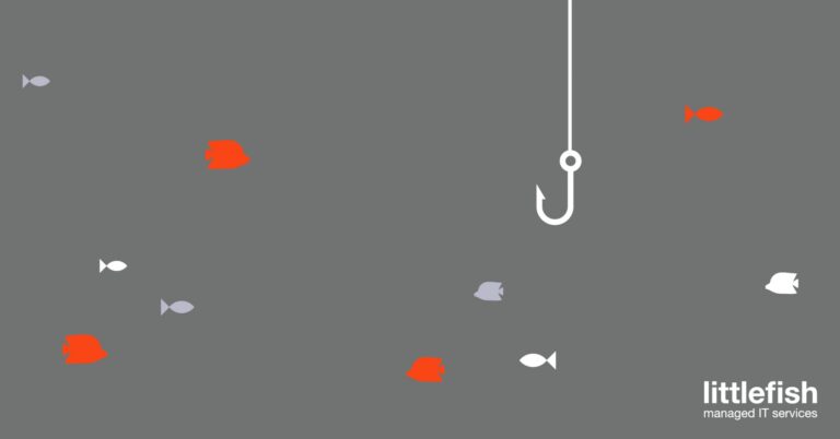 Littlefish User Education Awareness Phishing 01