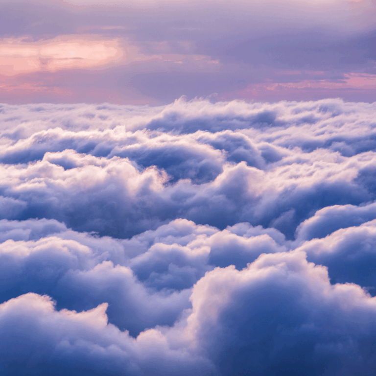 cloud migration & optimisation