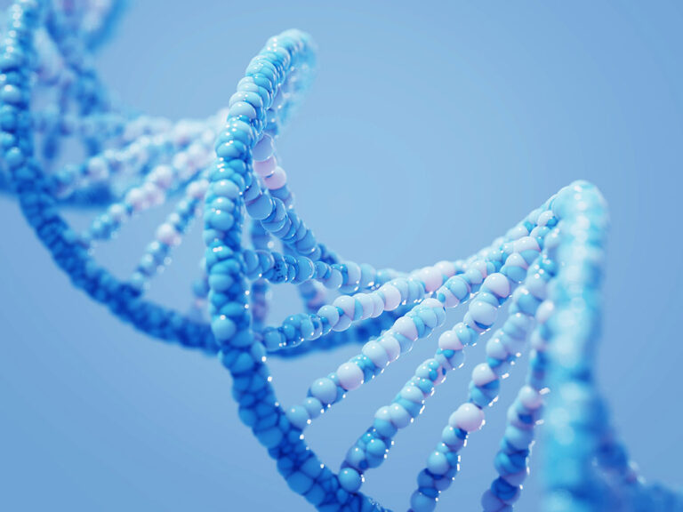 cyber security architecture